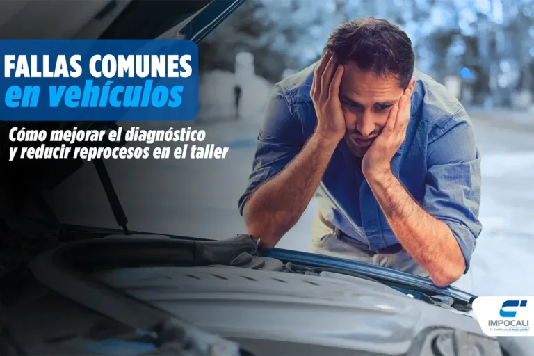 Fallas comunes y cómo detectarlas